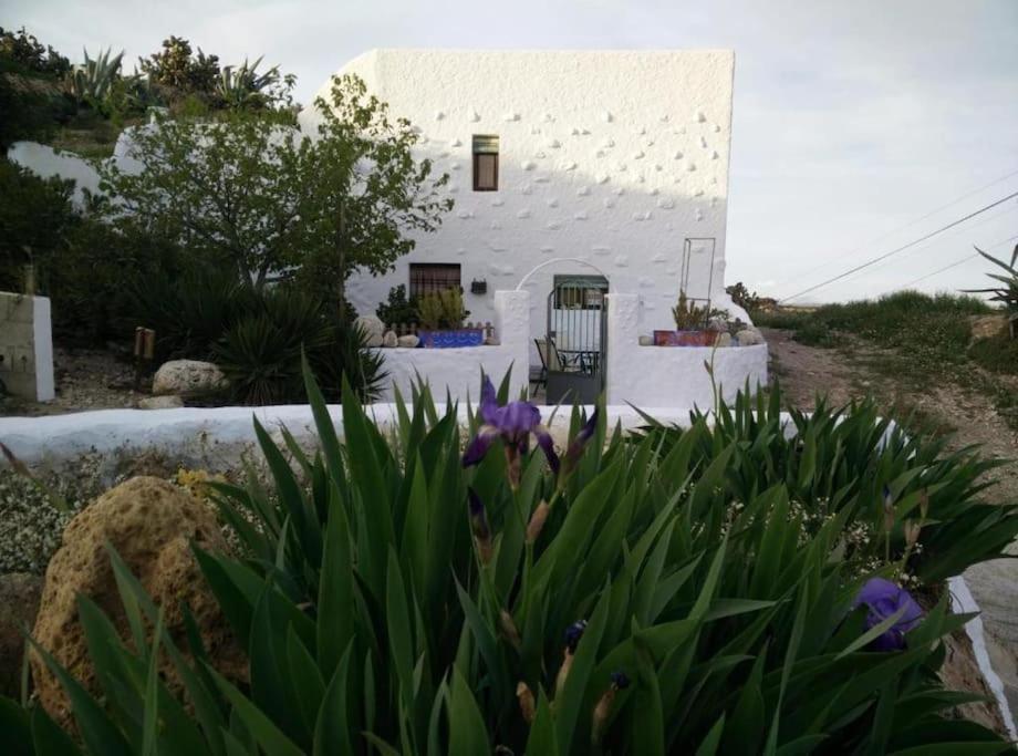 Cuevas Los Coloraos - La Residencia Villanueva de las Torres 외부 사진